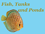 Fish, Tanks and Ponds