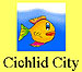 CichlidCity