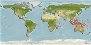 Arothron mappa, Map puffer : fisheries