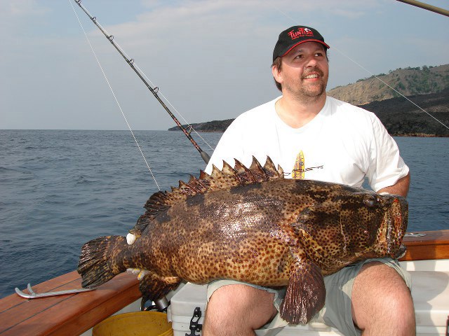 ../tools/UploadPhoto/uploads/Andaman-camoflague-grouper.jpg